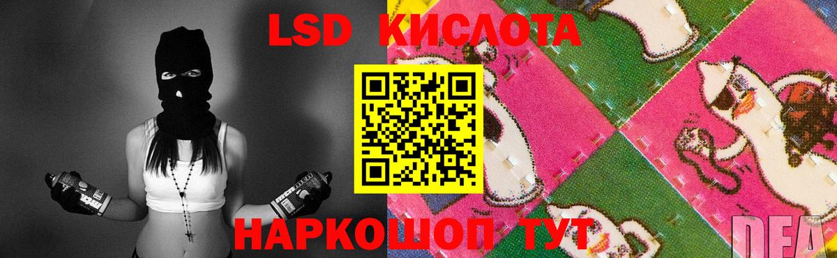 LSD-25 экстази  Вход с VPN  Котовск  ссылка на мегу tor  ЛСД экстази ecstasy 
